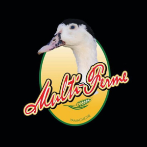 Logo Les Folies gourmandes