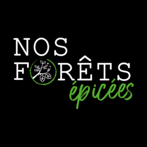 Logo Les Folies gourmandes